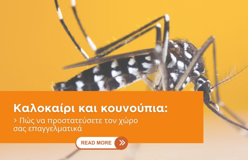 Καλοκαίρι και κουνούπια