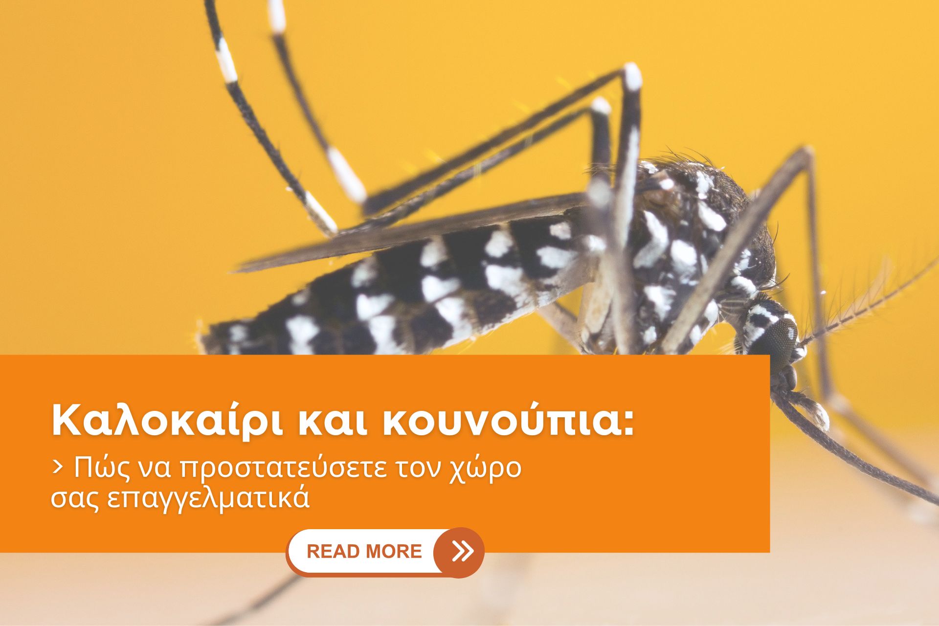 Καλοκαίρι και κουνούπια